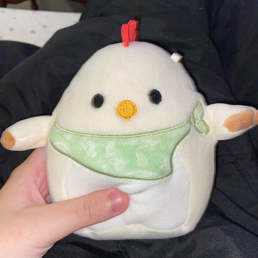 “Todd” 5” squishmallow